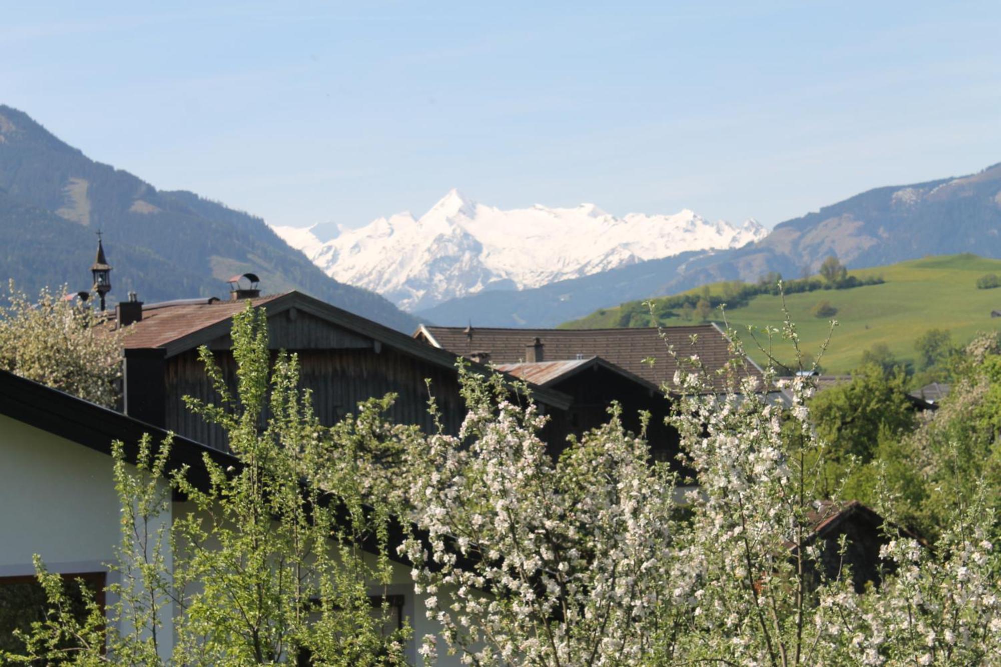 Haus Hartl Hotel Saalfelden Exterior foto